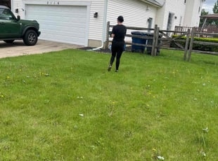 Weeding by Phillip Crews for Norman L. in Perrysburg, OH