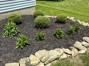 Weeding by Zeke Clark for Steve B. in Olmsted Falls, OH