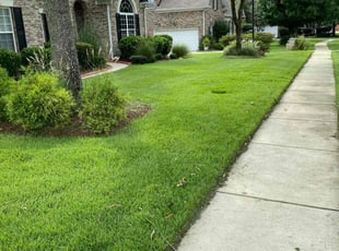 Rose W.'s Lawn Mowing service result