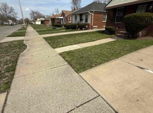 Takewa B.'s Lawn Maintenance service result