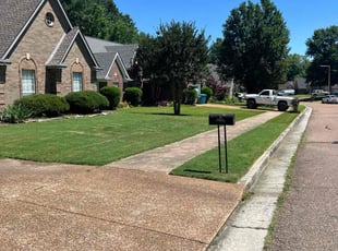 Jessica M.'s Lawn Mowing service result