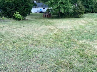 Alex L.'s Lawn Care service result