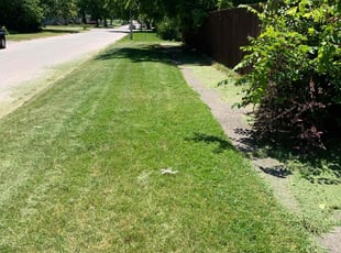David G.'s Lawn Mowing service result