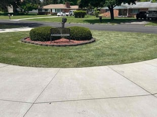 Marin M.'s Grass Cutting service result