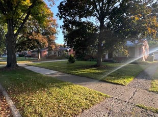 Kerry C.'s Yard Cutting service result