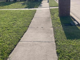Zaneta B.'s Lawn Mowing service result