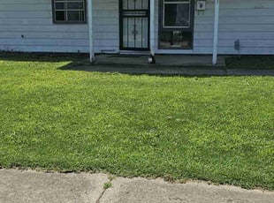 Jeffrey P.'s Lawn Mowing service result