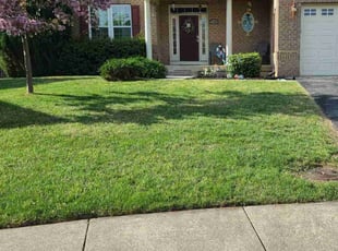 DaVon P.'s Lawn Mowing service result