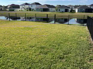 Michael M.'s Lawn Mowing service result