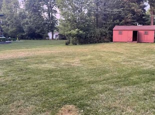 Cleanups by CJ Walerski for Tiffani B. in Allentown, PA