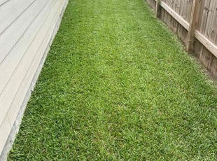 Samara M.'s Yard Cutting service result