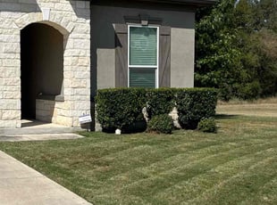 Bush Trimming by Gabriel Sosa for David C. in San Antonio, TX