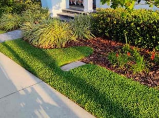 Luis C.'s Lawn Care service result