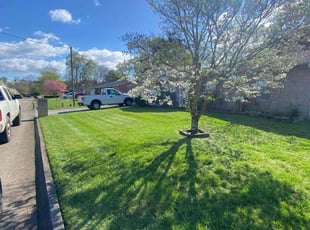 Lee T.'s Lawn Care service result