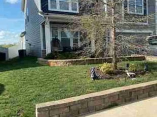 Carina F.'s Grass Cutting service result