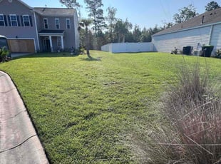 Ashley C.'s Lawn Care service result