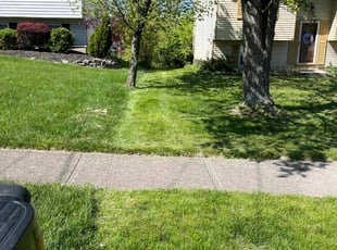 Christopher B.'s Grass Cutting service result