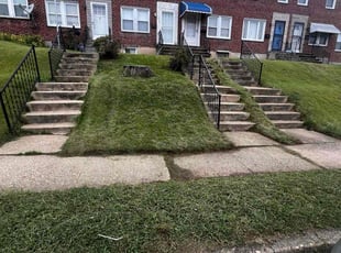 Rudolf C.'s Lawn Mowing service result
