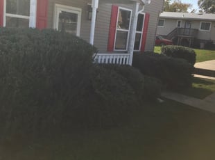 Bush Trimming by Darryl Blanchard for Victor A. in Glenarden, MD