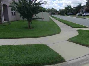 Victoria E.'s Yard Cutting service result