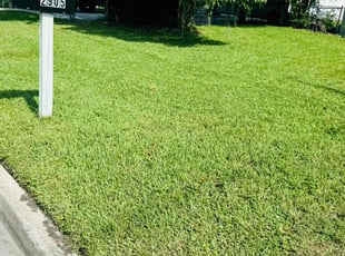 Christine S.'s Lawn Maintenance service result