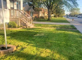 Lisa S.'s Grass Cutting service result