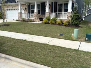 Judy T.'s Lawn Mowing service result