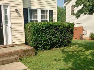 Bush Trimming by Damion Forney for Courtney B. in Charlotte, NC