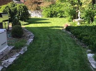 Augustine M.'s Lawn Mowing Service service result