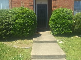 Bush Trimming by Jerome Borders for Lateshia V. in Horn Lake, MS