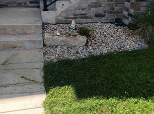 Weeding by Kevin Rhyne for Isabel P. in Fitchburg, WI