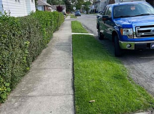 Diane P.'s Lawn Mowing service result