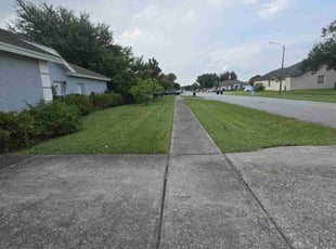 Michael M.'s Lawn Service service result