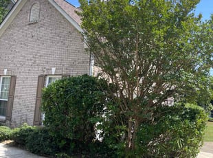 Bush Trimming by Francis Whyte for Marie F. in Conyers, GA