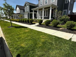 Mandy H.'s Yard Cutting service result