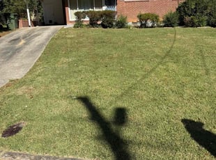 Nakia P.'s Lawn Mowing service result