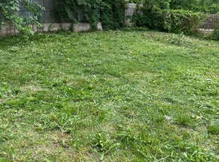 Bush Trimming by Caree Keith for OWEN W. in Hyattsville, MD