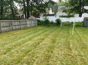 Kate B.'s Lawn Care service result