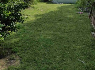 Bush Trimming by Anthony Barr for Camrey A. in Tulsa, OK