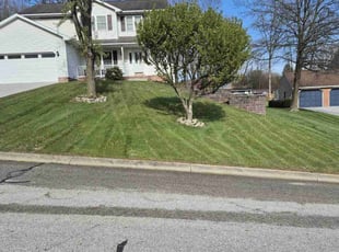 Estrella P.'s Lawn Care service result
