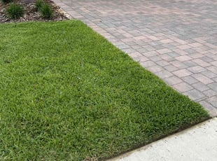 Brenda S.'s Lawn Service service result