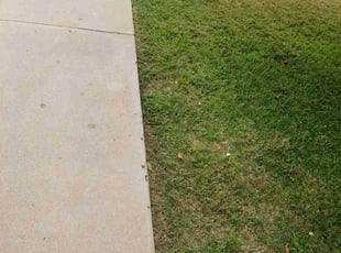 Michael B.'s Lawn Care service result