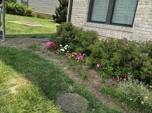 Weeding by Ana Robles for Ali B. in Fairfax, VA