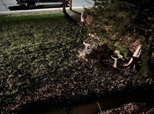 Leaf Removal by Justin Hands for Charlie O. in Littleton, CO