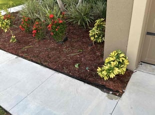 Weeding by Arthur Grant for CRAIG M. in Port St. Lucie, FL