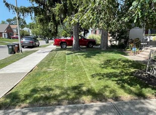 Sue H.'s Lawn Care service result