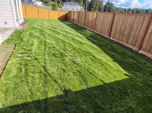 Gabe W.'s Lawn Care service result