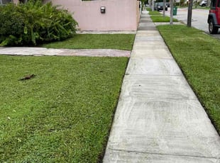 Craig S.'s Lawn Service service result