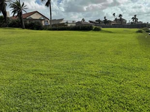 Charlie W.'s Lawn Service service result