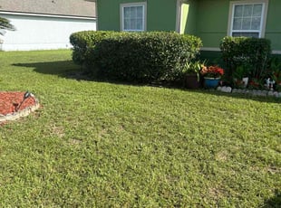 Bush Trimming by Chris Doehler for Aldo B. in Yulee, FL